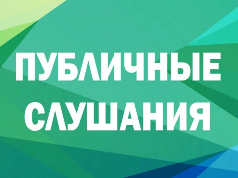 Публичное слушание.